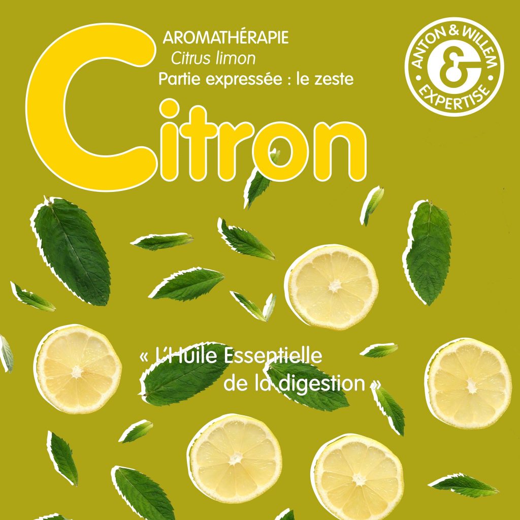 Le Citron : Éclat de Vitalité de la Nature