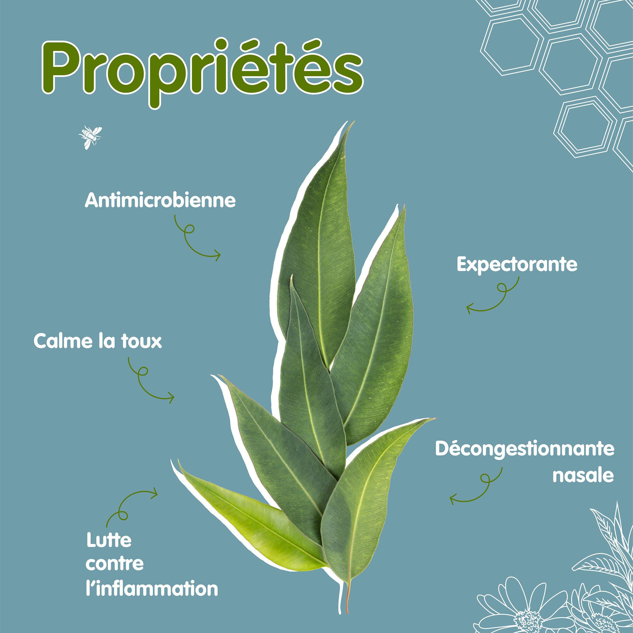 369608056_253776810866004_1853862013318541497_n