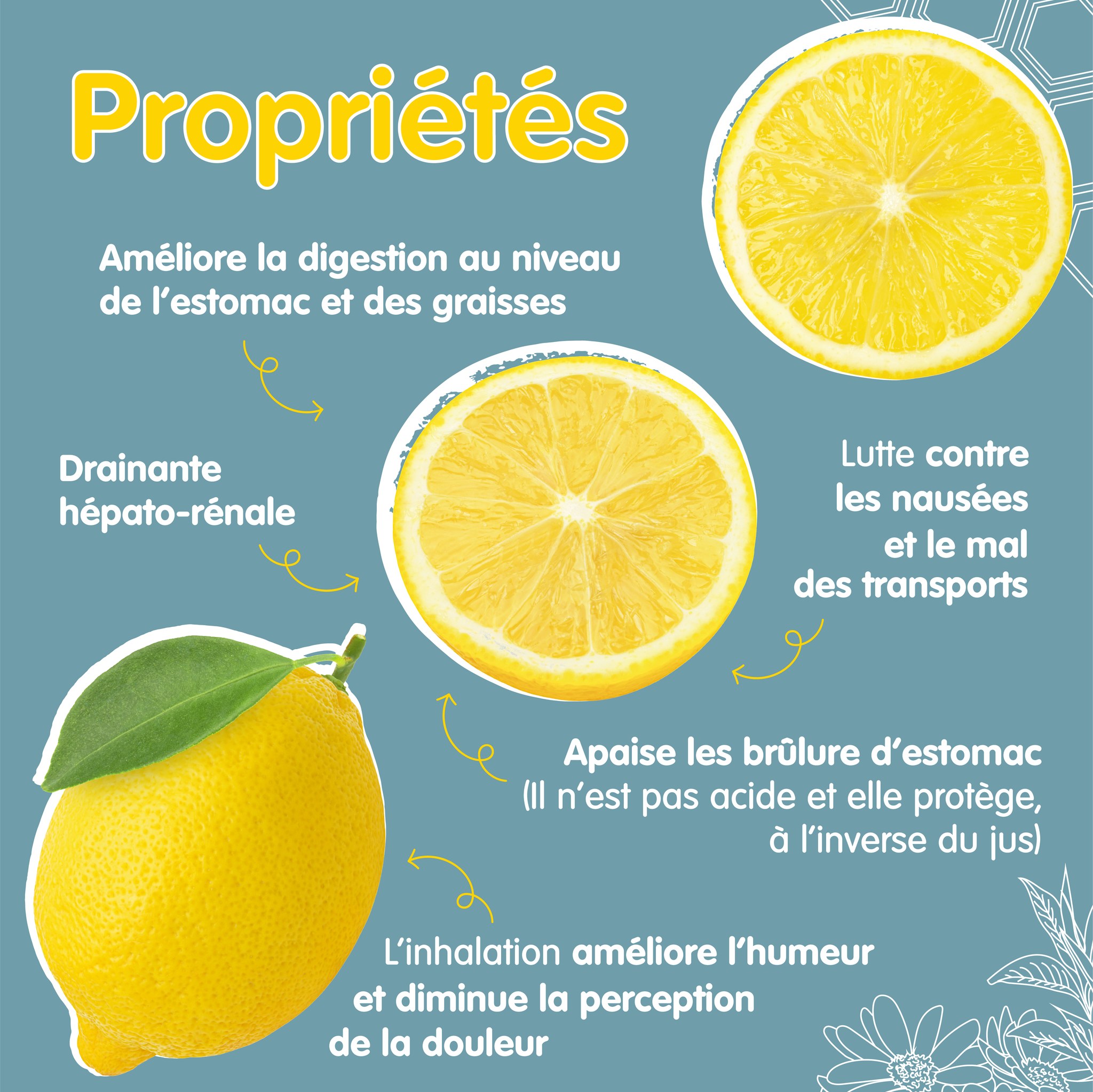 369634321_253781430865542_2480397034473062747_n