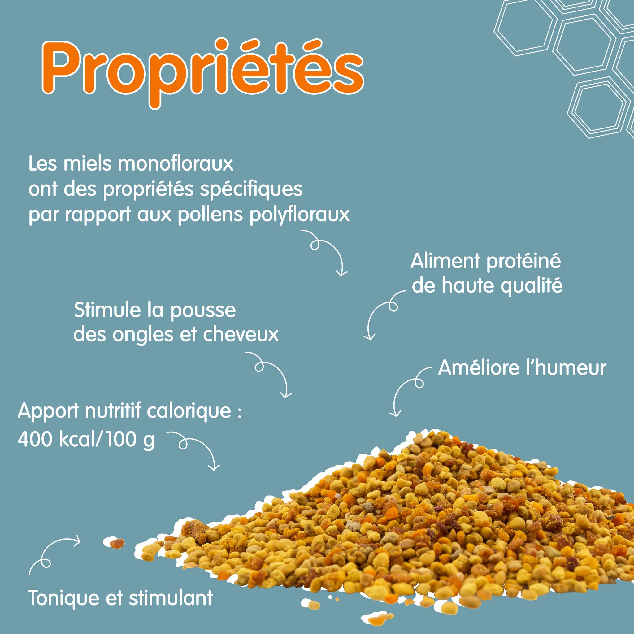 369869189_253784314198587_6345434595031624156_n