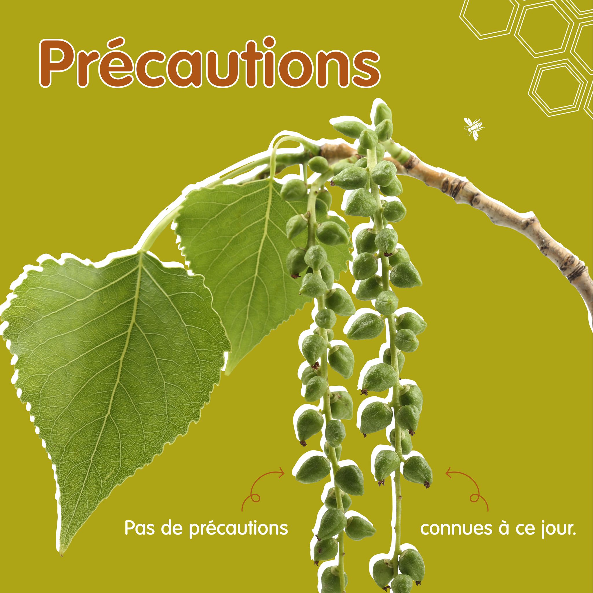 369910723_253870227523329_5308406130135259685_n