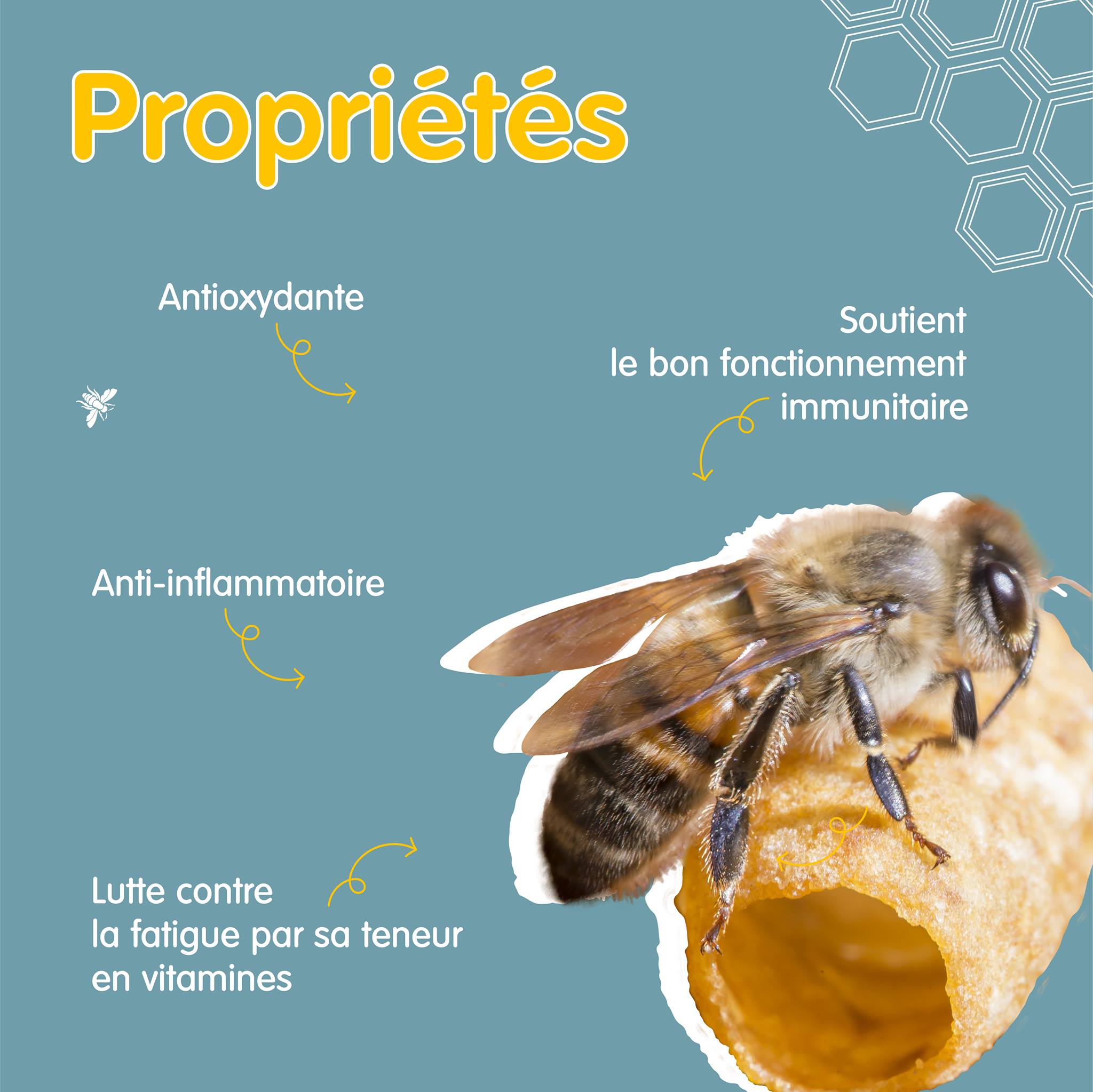 370434832_253495497560802_2227330273210597379_n