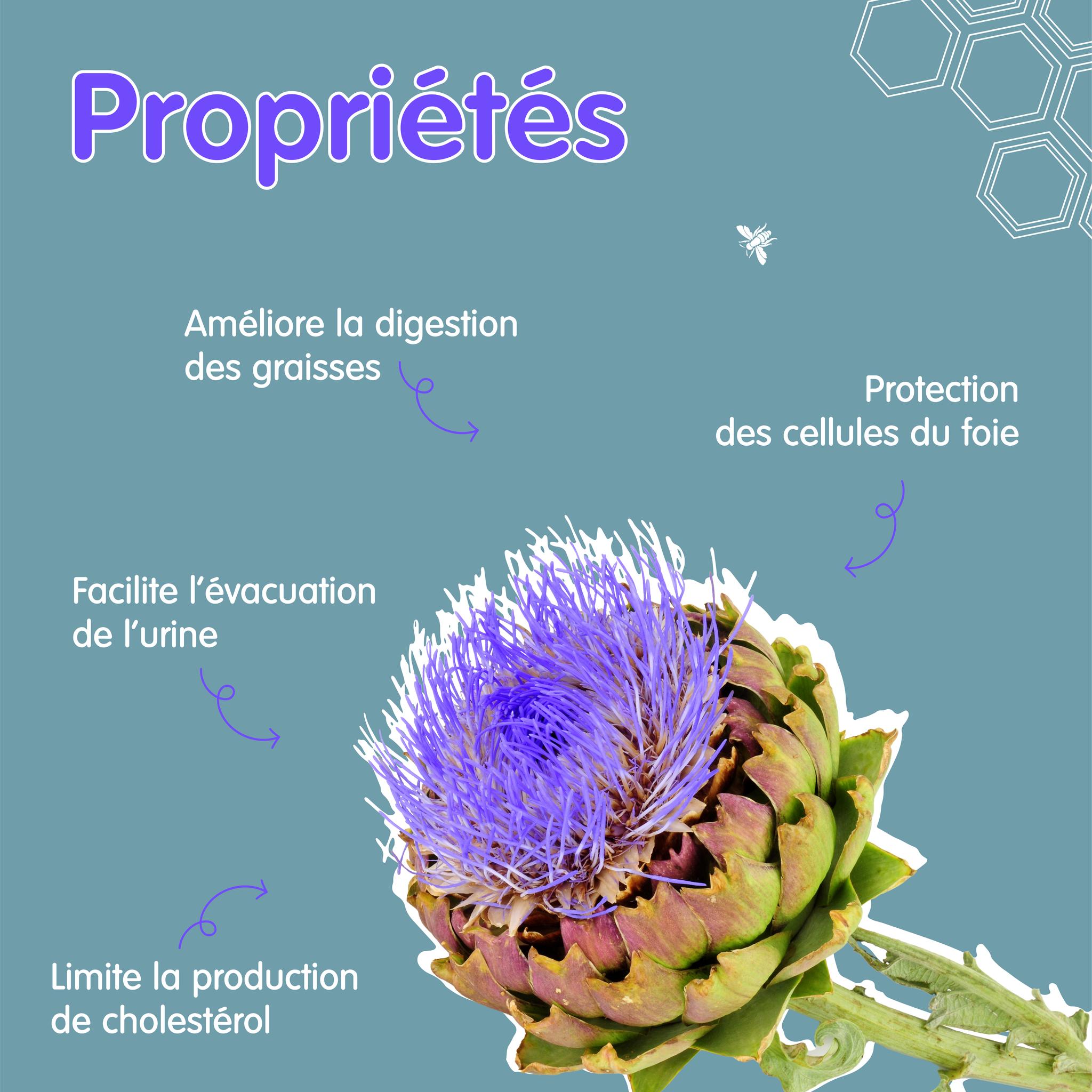 370467084_253867394190279_6272357155693482657_n