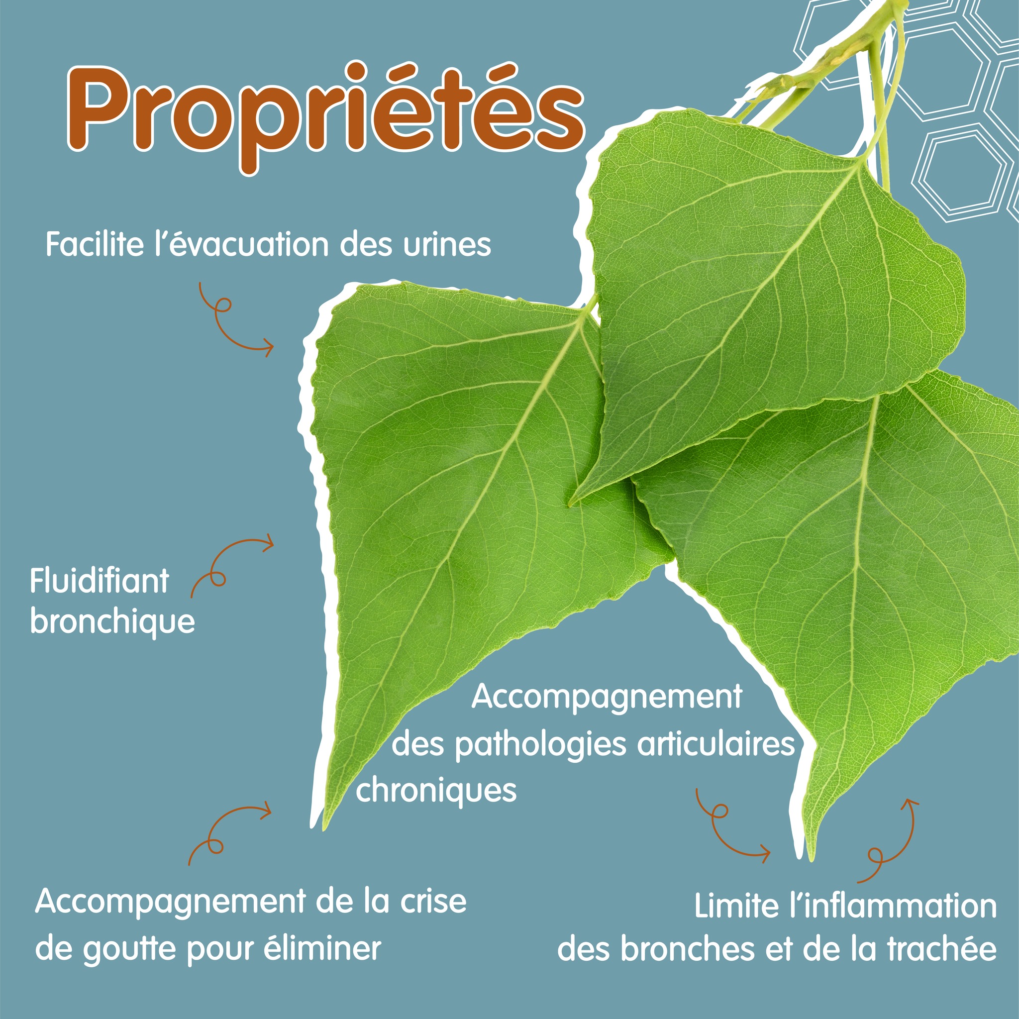 370475978_253870264189992_587437240634535480_n