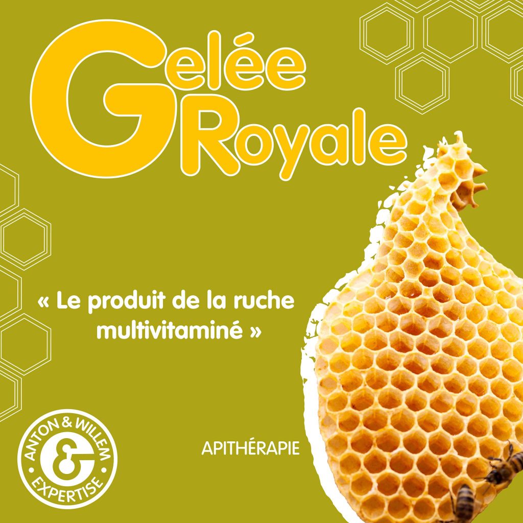 La Gelée Royale : Élixir de la Ruche