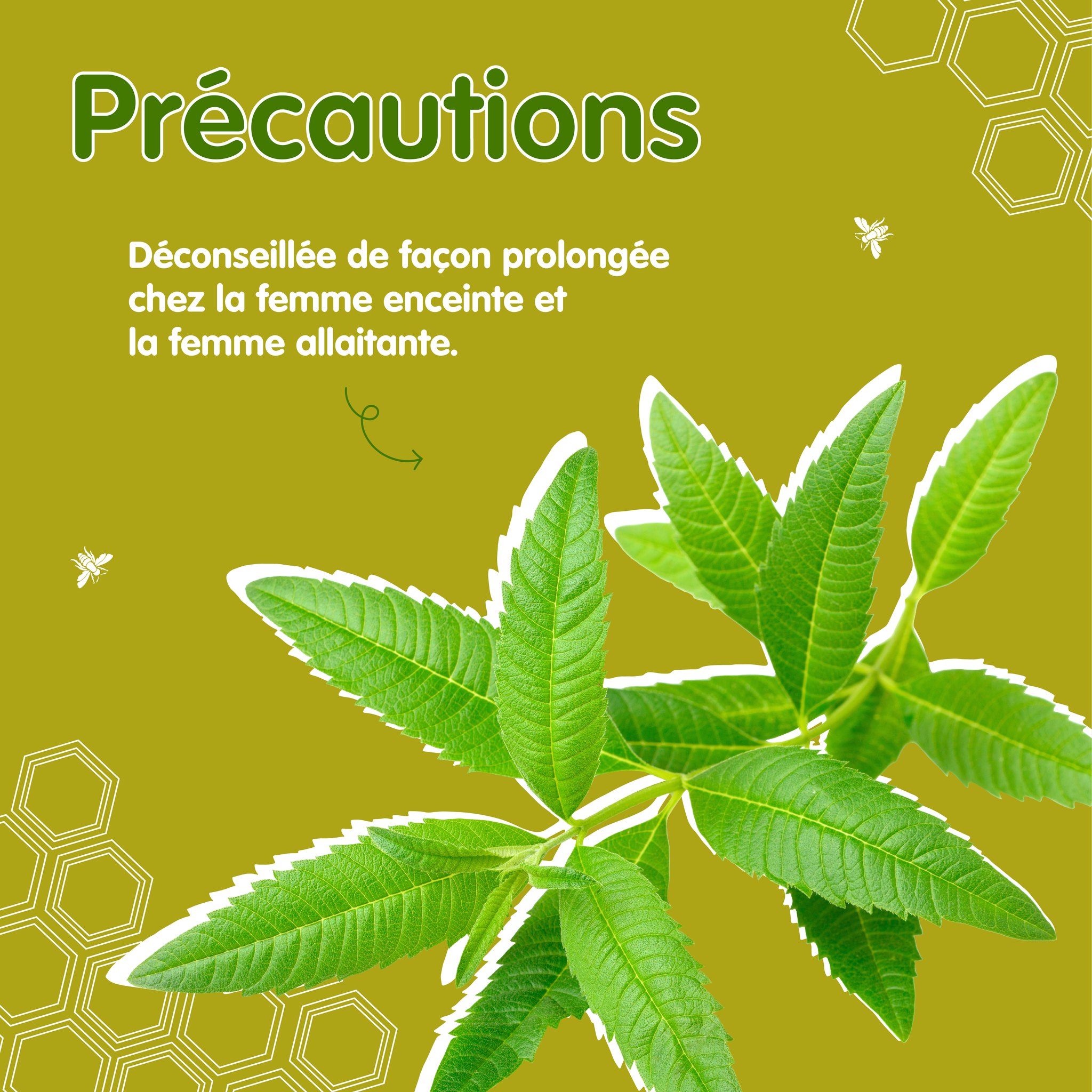 370485434_253790754197943_3060469918421826512_n