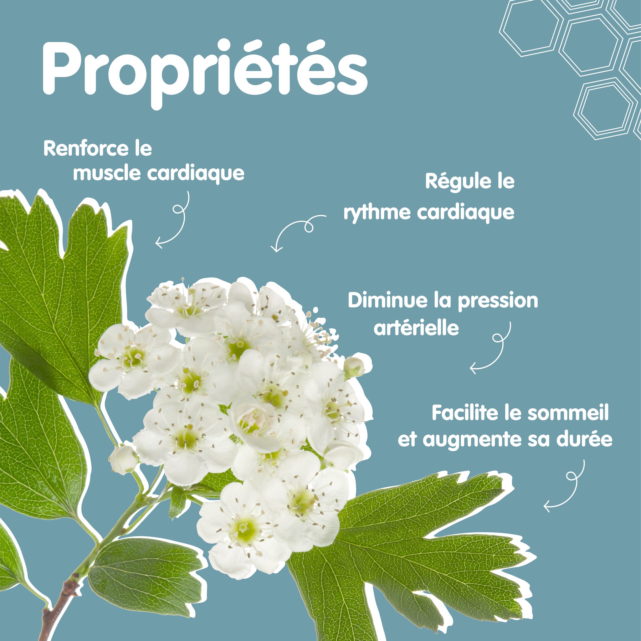 370487036_253868684190150_3885424842704506258_n