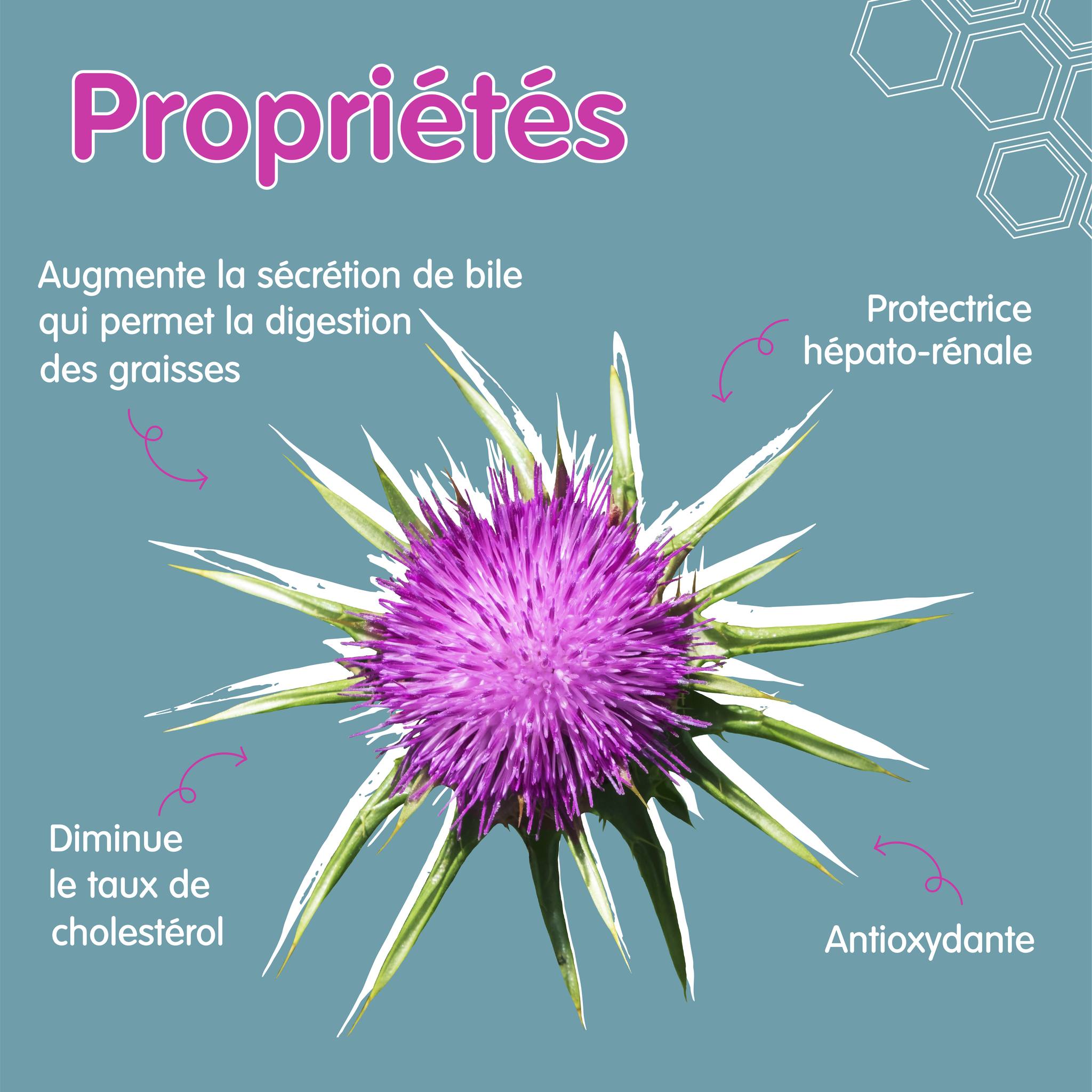 370487596_253789117531440_7733204254833717301_n