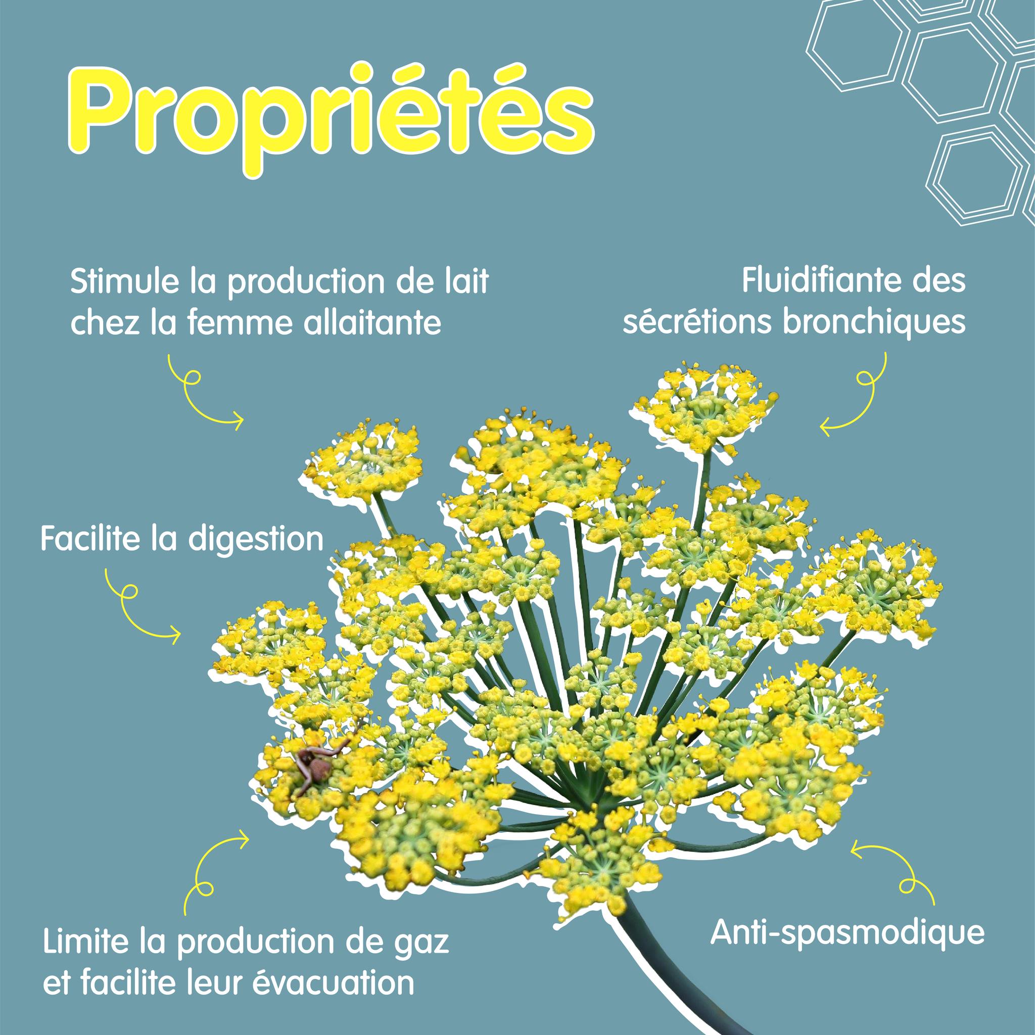 370499494_253791727531179_4546898913898501985_n