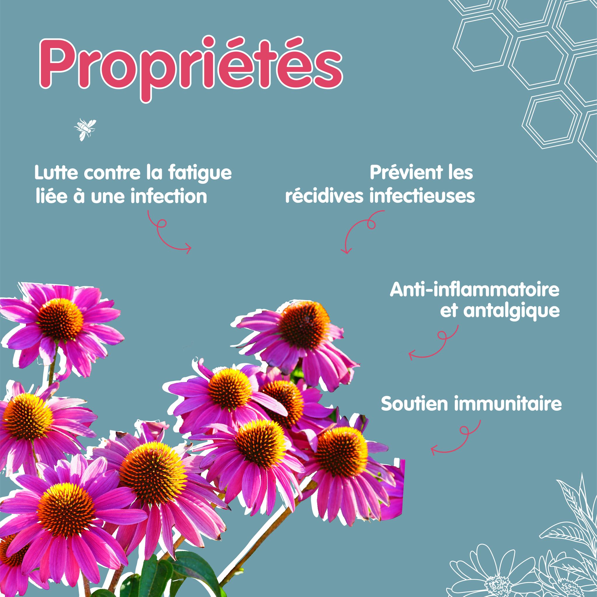 370499998_253785934198425_1952270590507249043_n