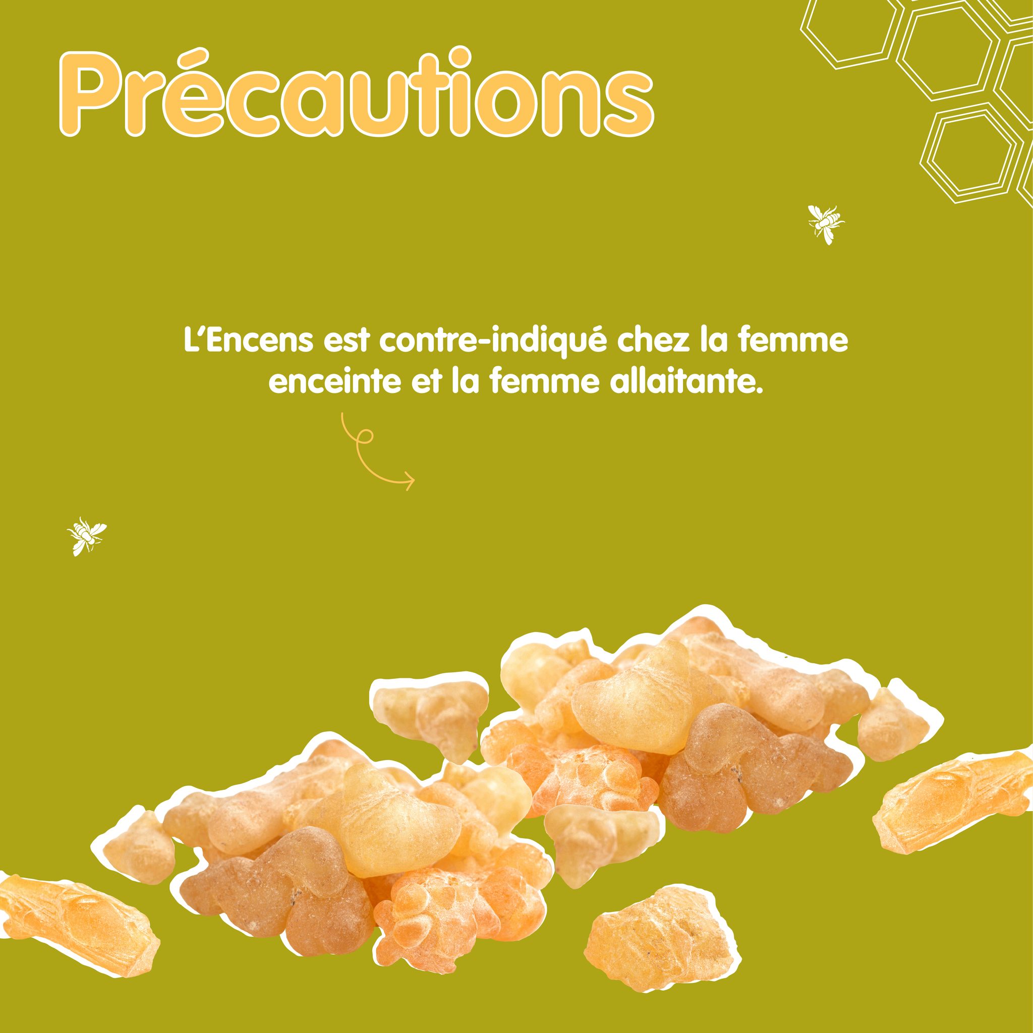 370511988_253787507531601_5634750731407486755_n