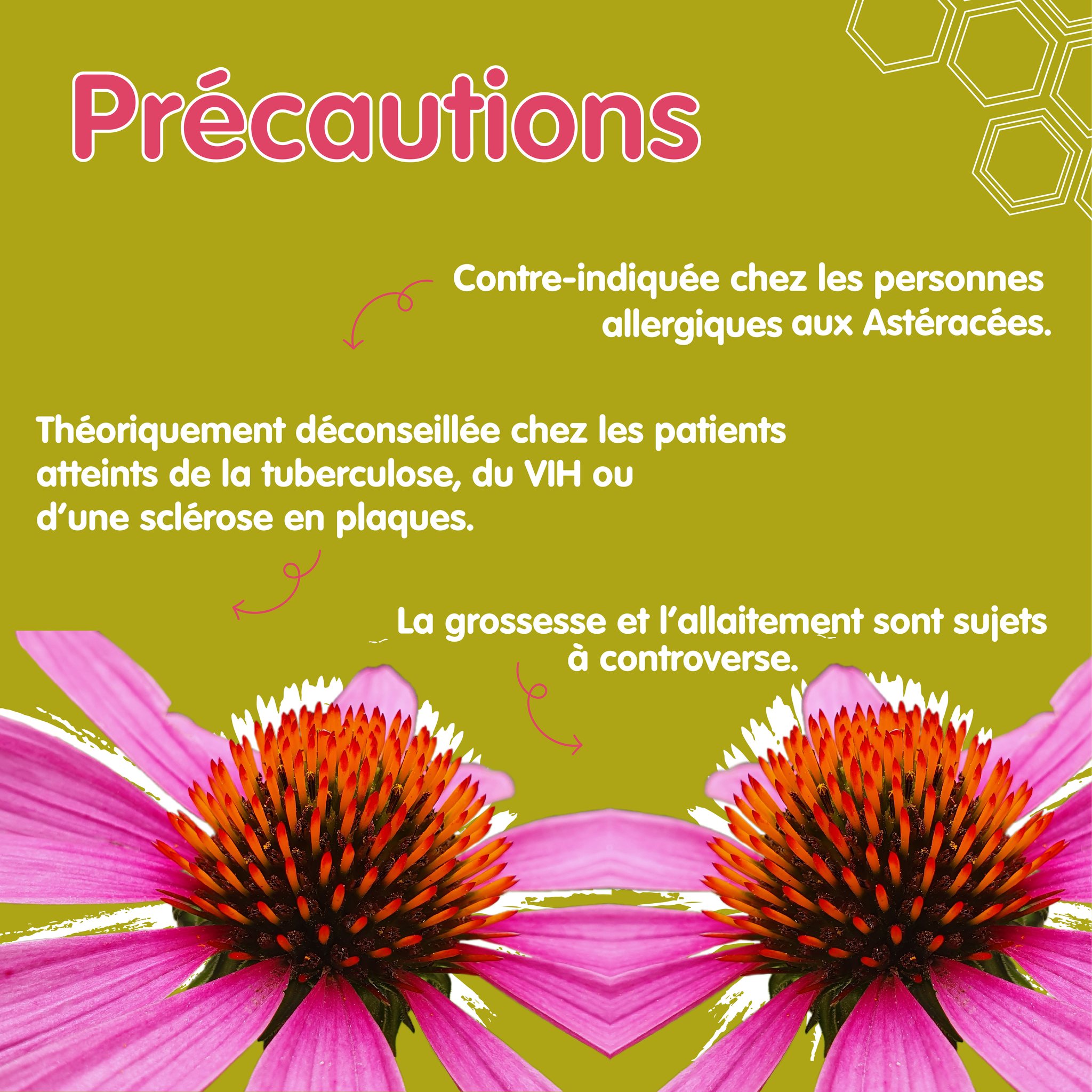 370516417_253785957531756_2691983092920774955_n