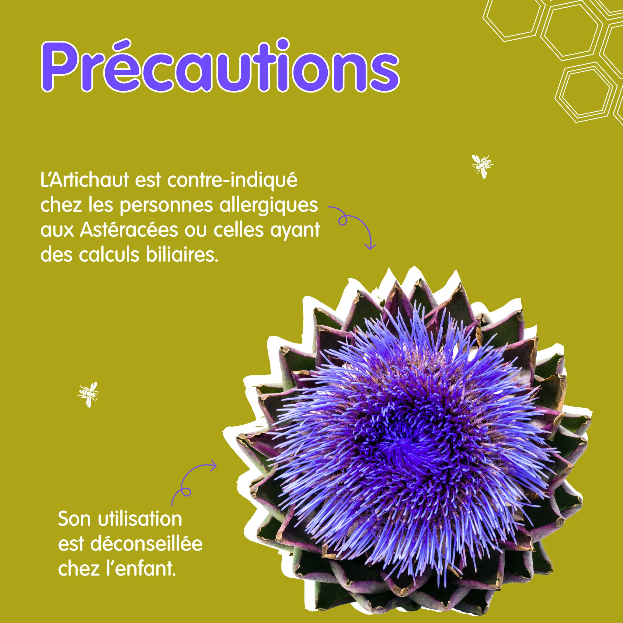 370517134_253867417523610_7682142047970495183_n