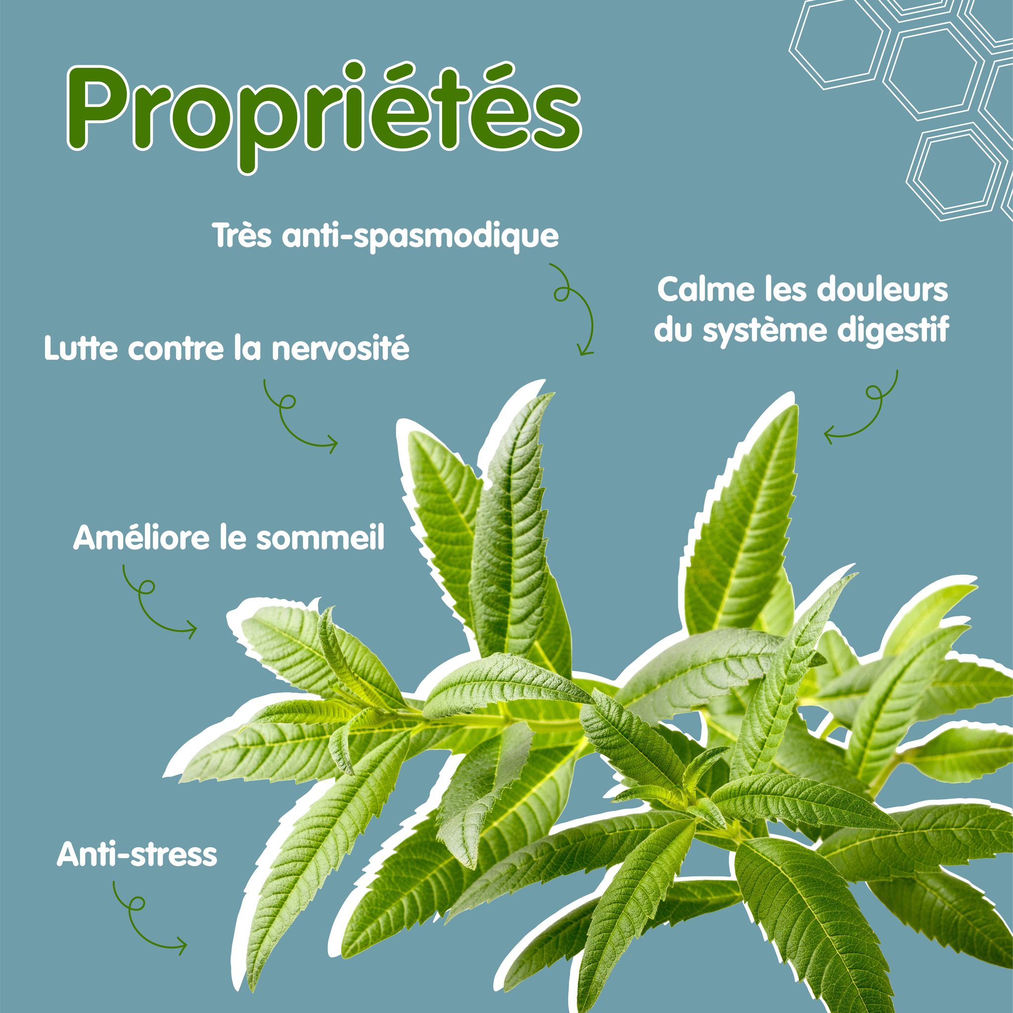 370518837_253790724197946_2119179216737011912_n