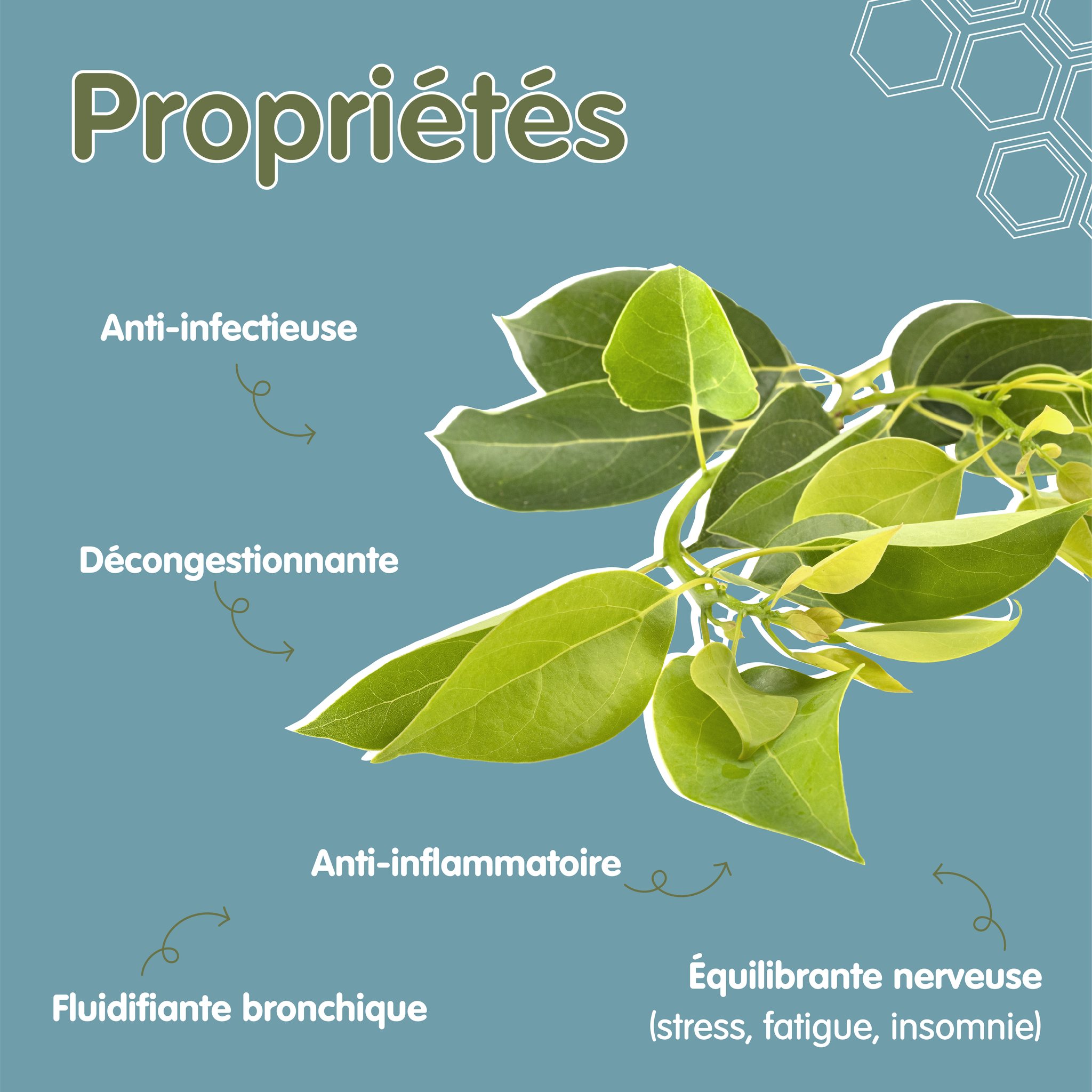 370527397_253861584190860_5155262769971189839_n