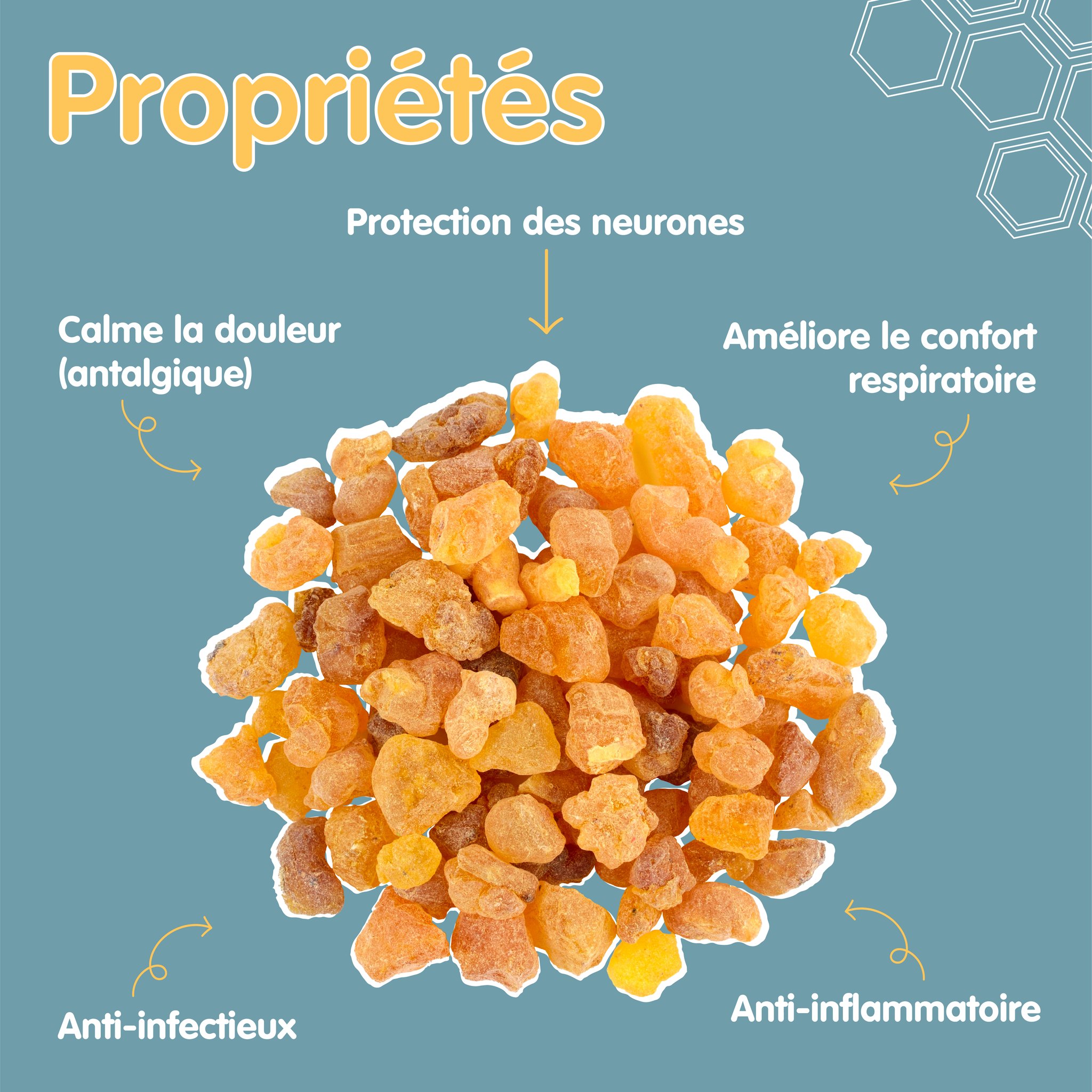 370529064_253787464198272_7422651532342309582_n