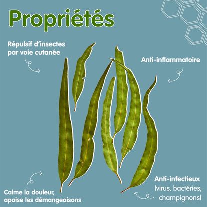 372964250_257196700524015_7716259228191791267_n