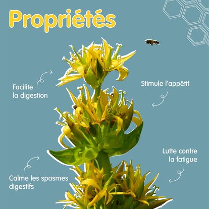 372988302_257201830523502_8678151881092771170_n