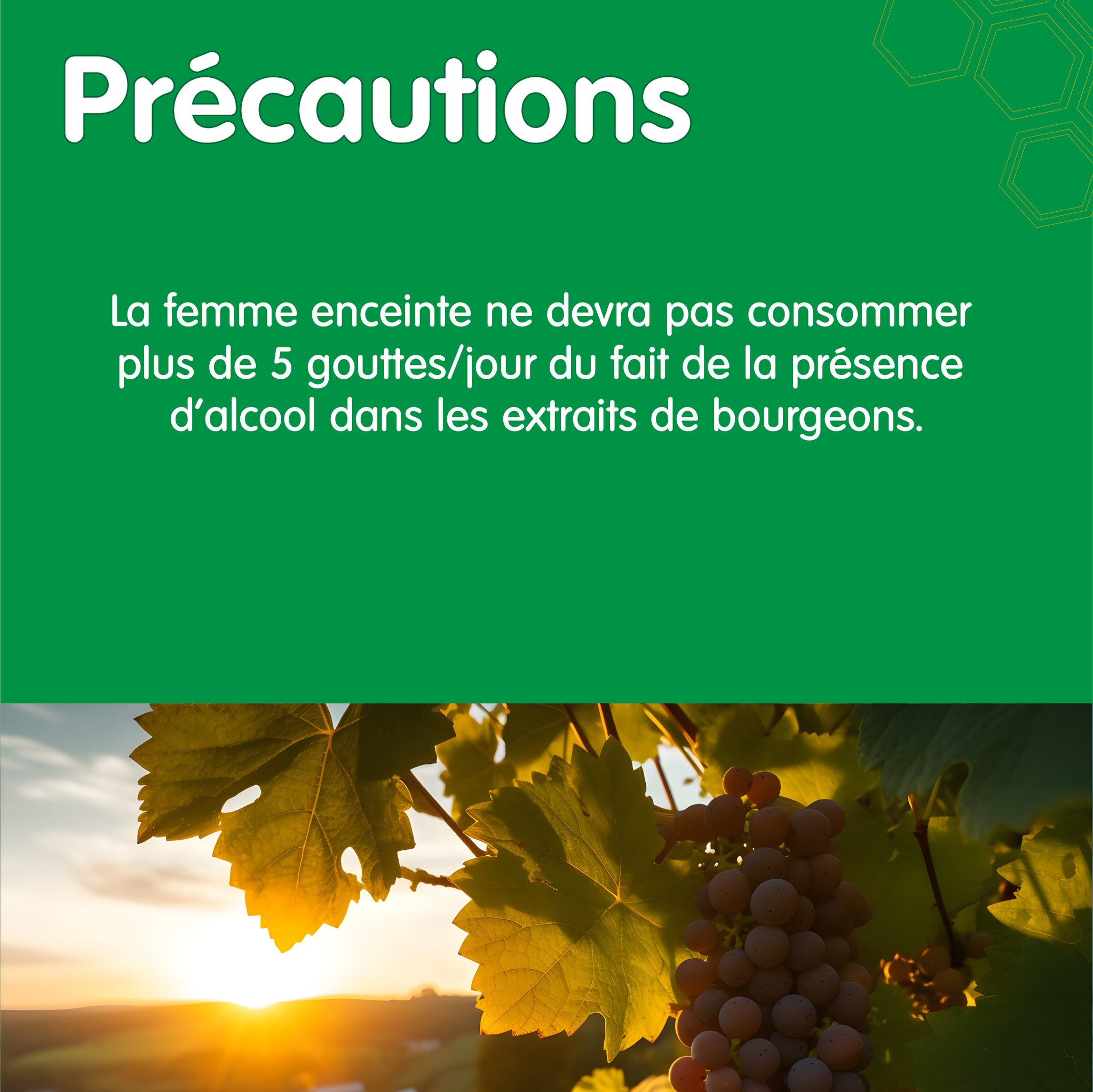 378376994_274292518814433_6650265720784618407_n