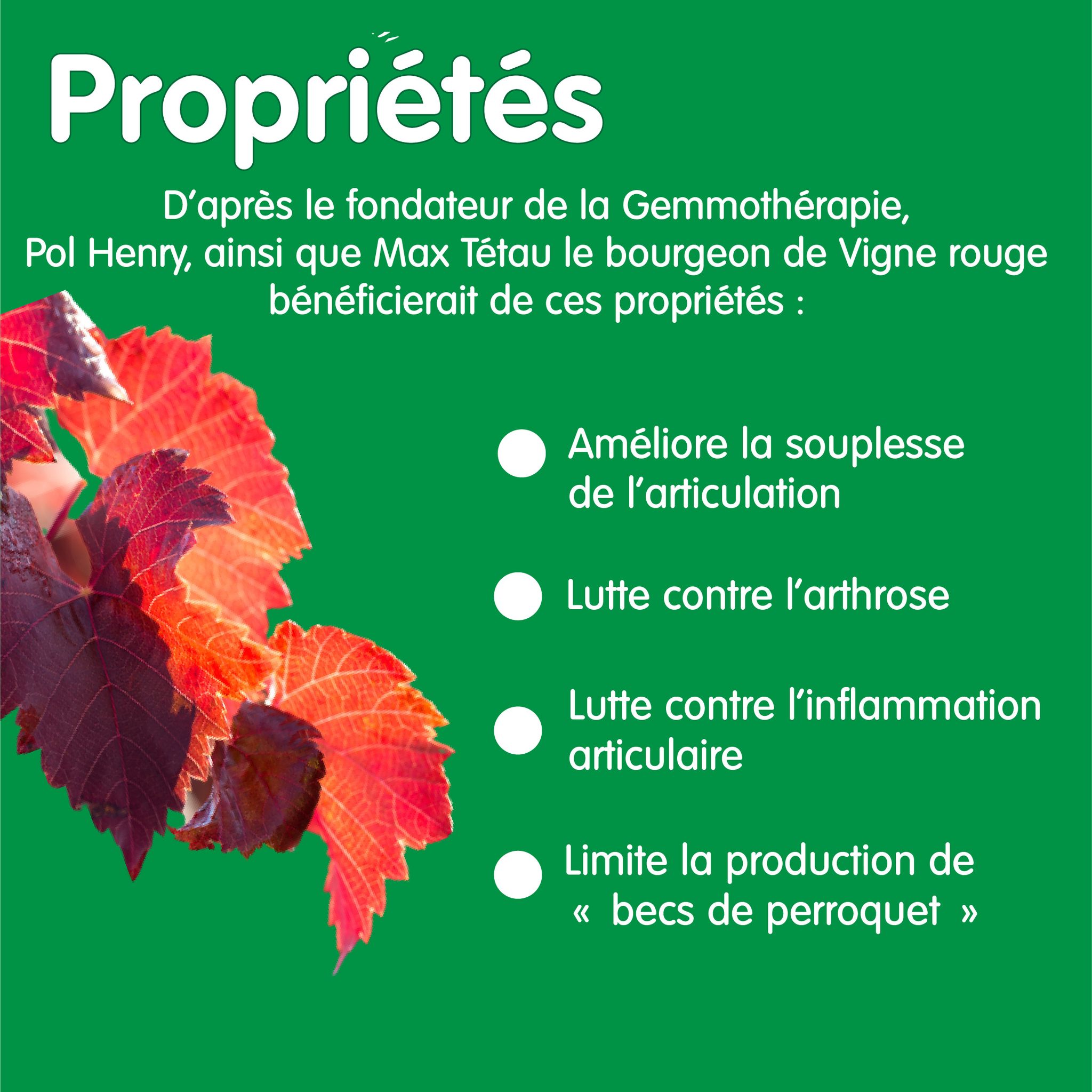 378402368_274292522147766_2924417379786786460_n