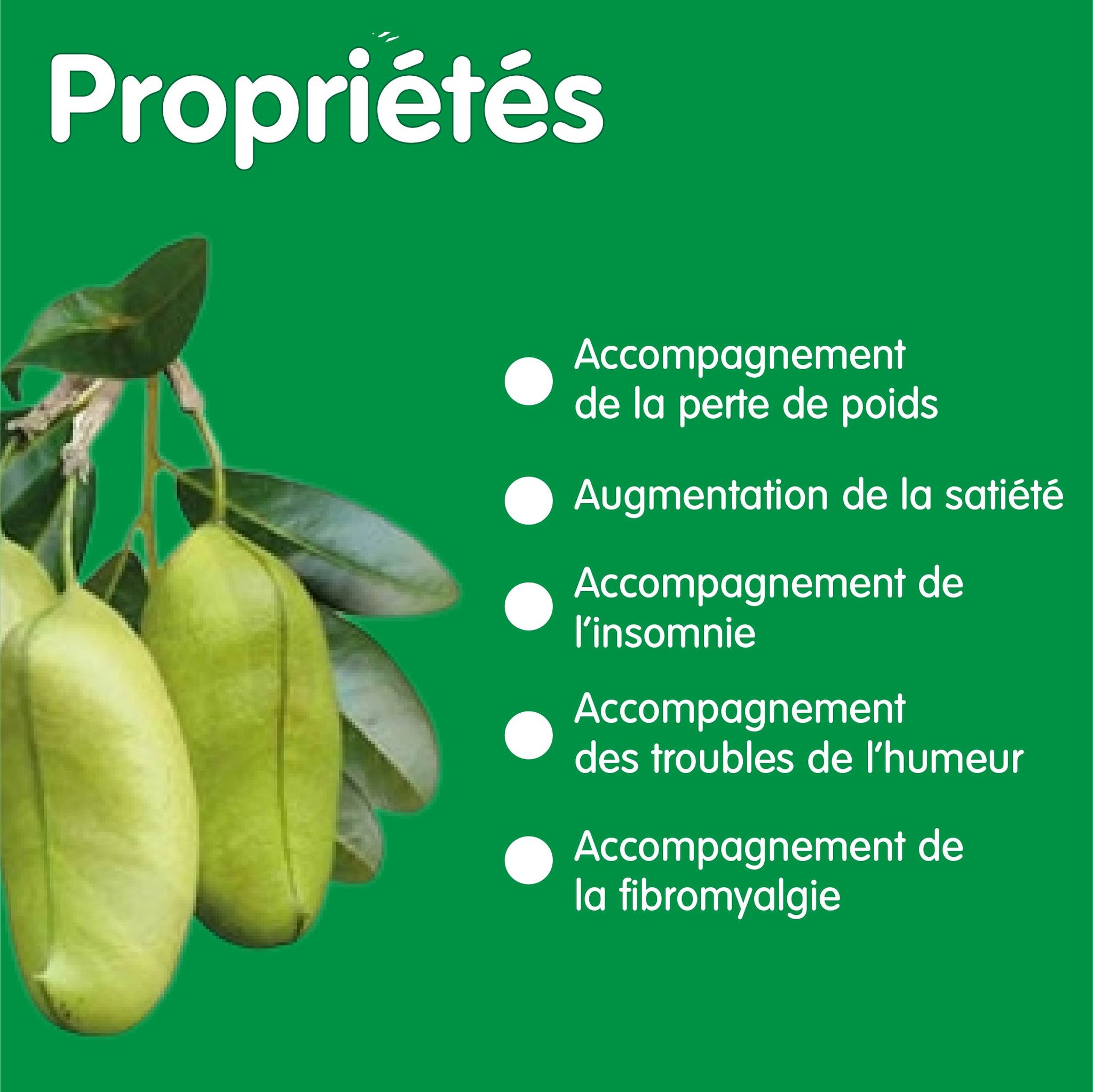 387767042_279642394946112_3948281193267492428_n