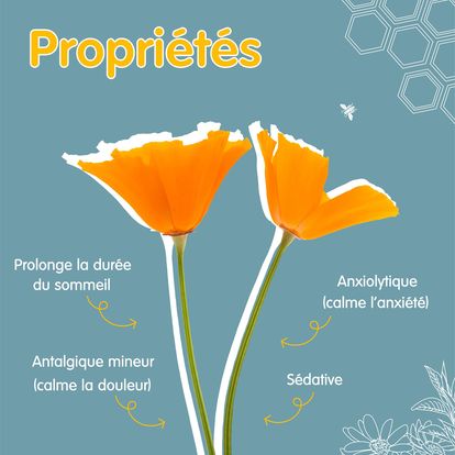 395462264_293677810209237_3088242176104473629_n