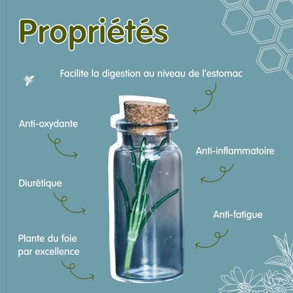 398300960_293681163542235_2221349226403715398_n