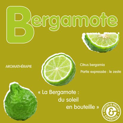 La Bergamote : Votre Source Naturelle de Sérénité
