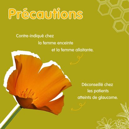 398480431_293677796875905_4680175731515788414_n