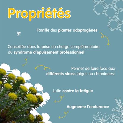 398542307_293683456875339_7364605092955916542_n