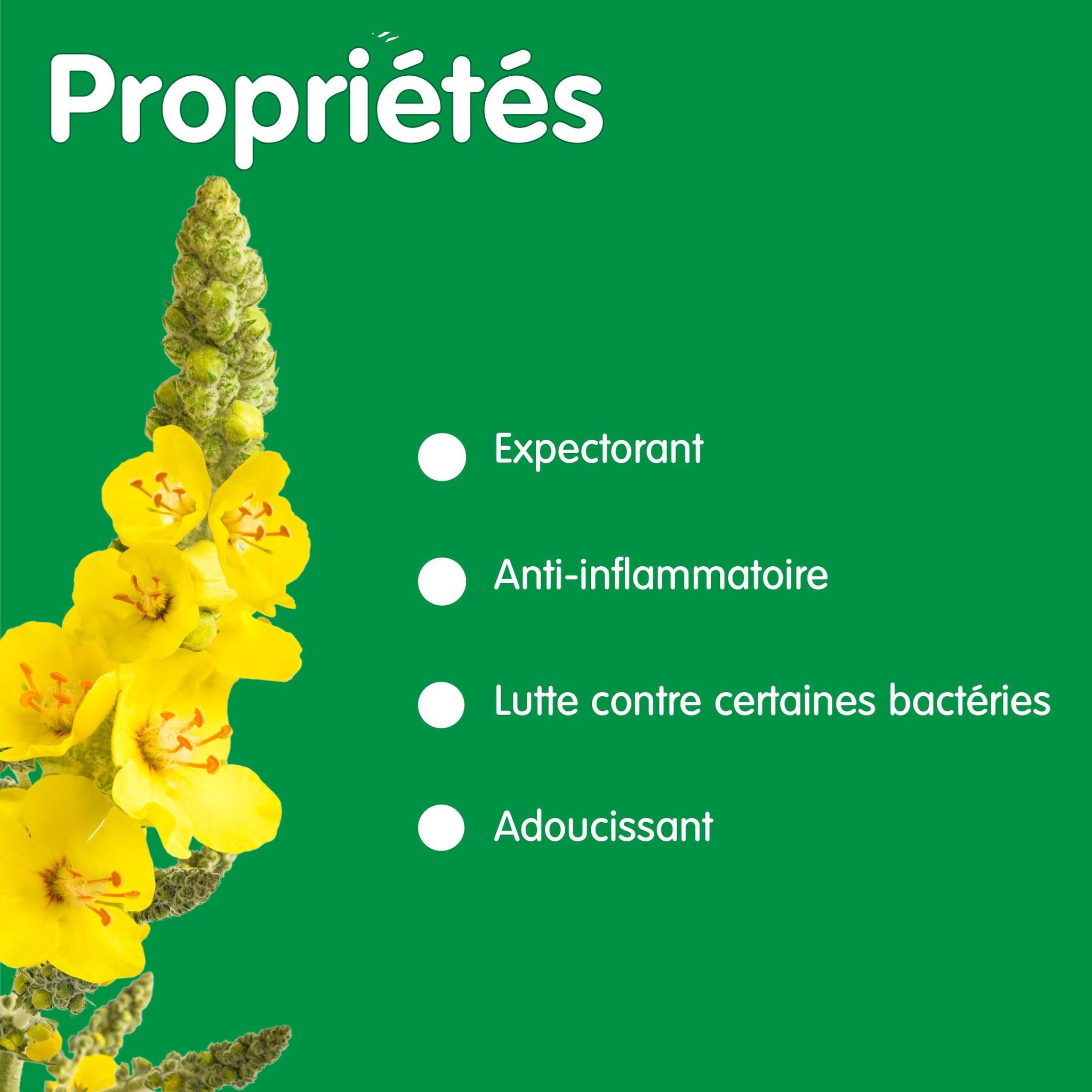 406142918_307100555533629_1784990320900963535_n