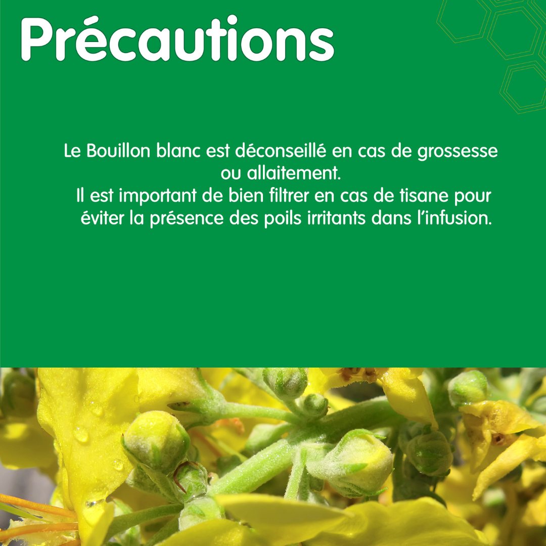 406249673_307100535533631_6610427648736554949_n